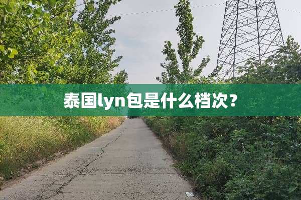 泰国lyn包是什么档次？