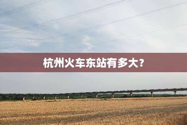 杭州火车东站有多大？