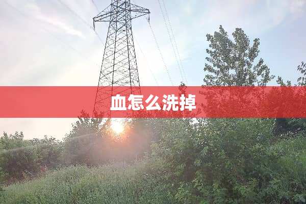 血怎么洗掉
