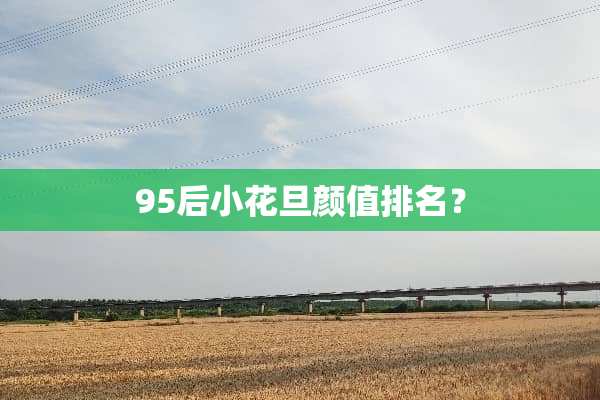 95后小花旦颜值排名？
