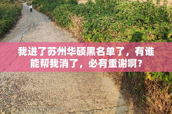 我进了苏州华硕黑名单了，有谁能帮我消了，必有重谢啊？