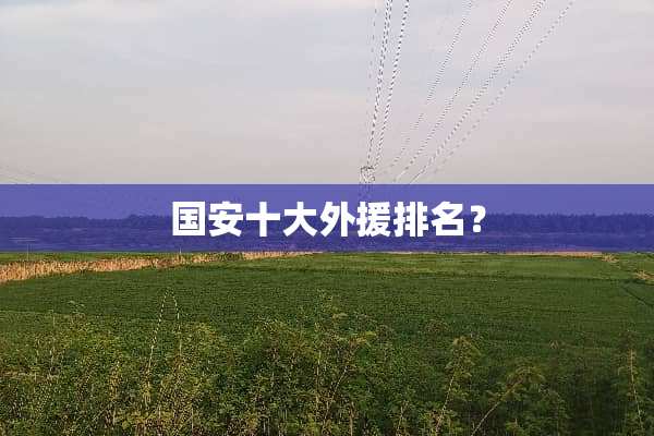 国安十大外援排名？