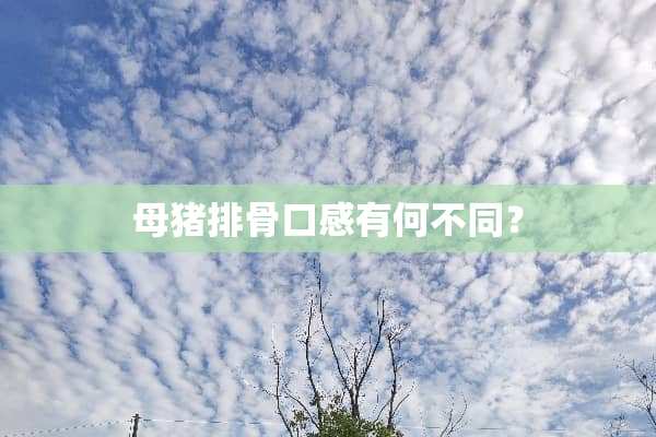 母猪排骨口感有何不同？