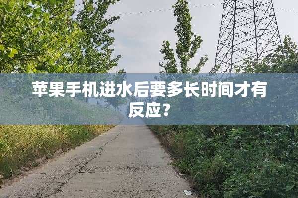 苹果手机进水后要多长时间才有反应？