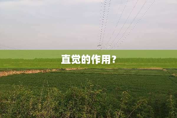 直觉的作用？
