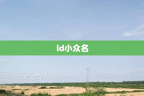 id小众名