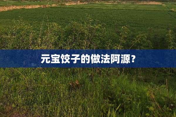 元宝饺子的做法阿源？