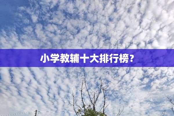 小学教辅十大排行榜？