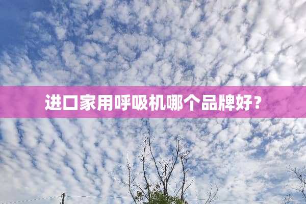 进口家用呼吸机哪个品牌好？