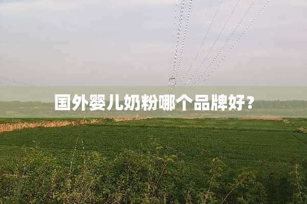 国外婴儿奶粉哪个品牌好？