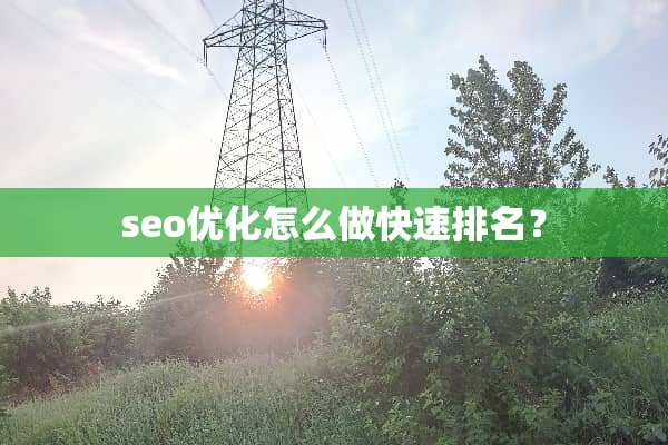 seo优化怎么做快速排名？