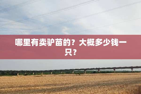 哪里有卖驴苗的？大概多少钱一只？