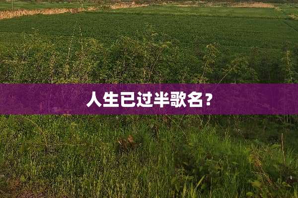 人生已过半歌名？