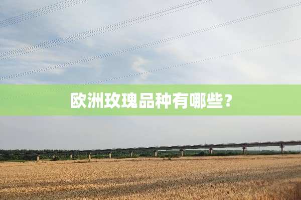 欧洲玫瑰品种有哪些？