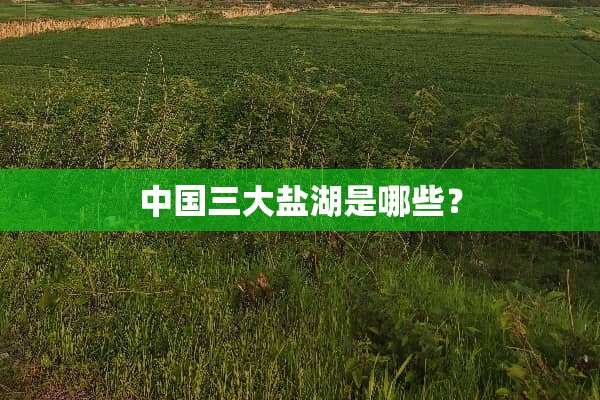 中国三大盐湖是哪些？