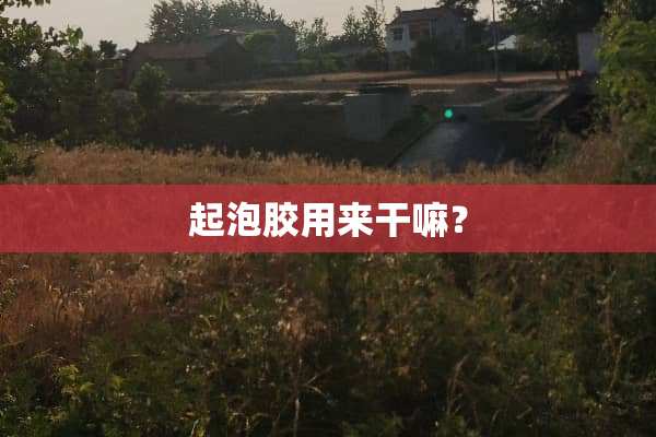 起泡胶用来干嘛？