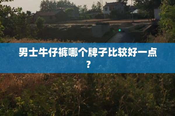 男士牛仔裤哪个牌子比较好一点？