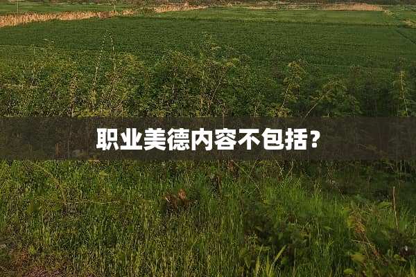 职业美德内容不包括？