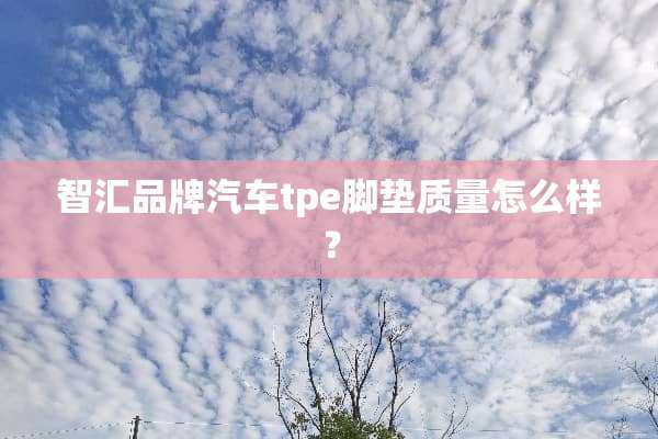 智汇品牌汽车tpe脚垫质量怎么样？