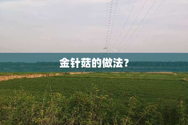 金针菇的做法？