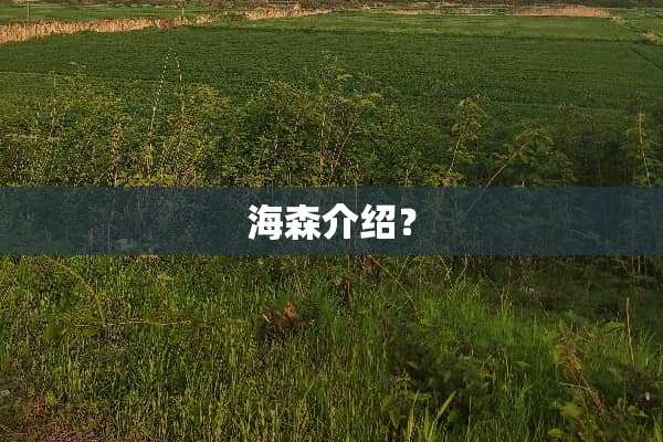 海森介绍？