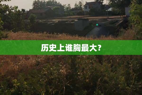 历史上谁胸最大？