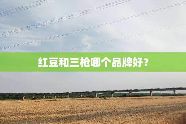 红豆和三*哪个品牌好？