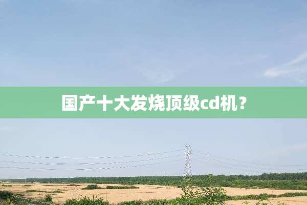 国产十大发烧**cd机？
