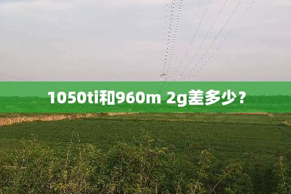 1050ti和960m 2g差多少？