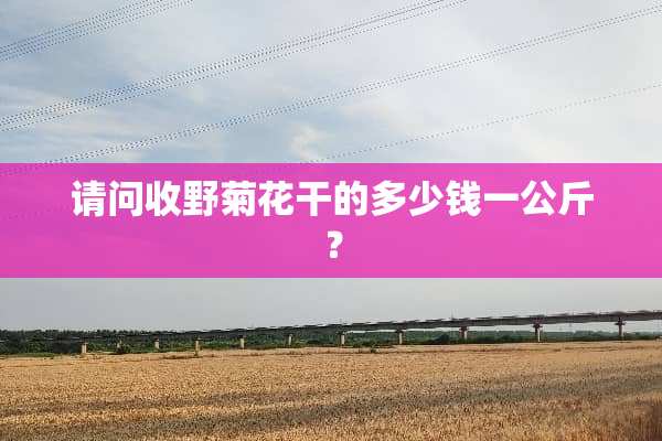 请问收野菊花干的多少钱一公斤？