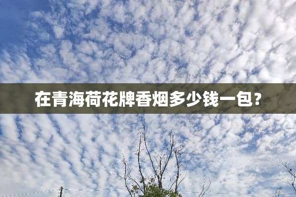 在青海荷花牌香烟多少钱一包？