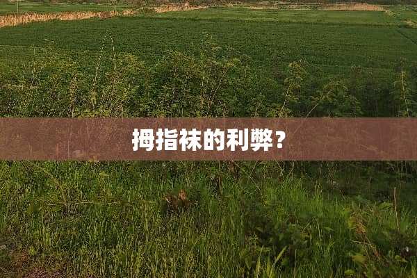 拇指袜的利弊？