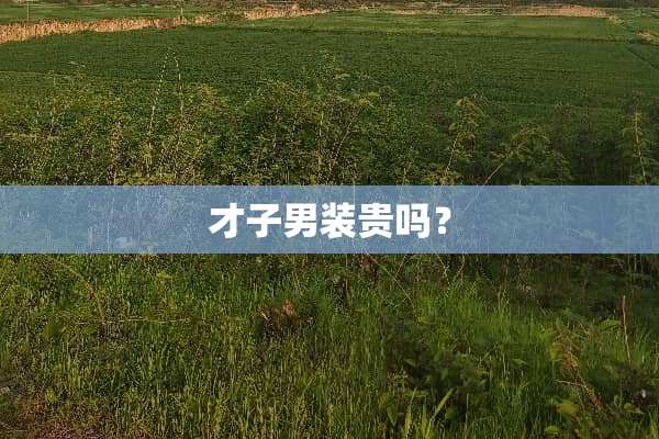 才子男装贵吗？