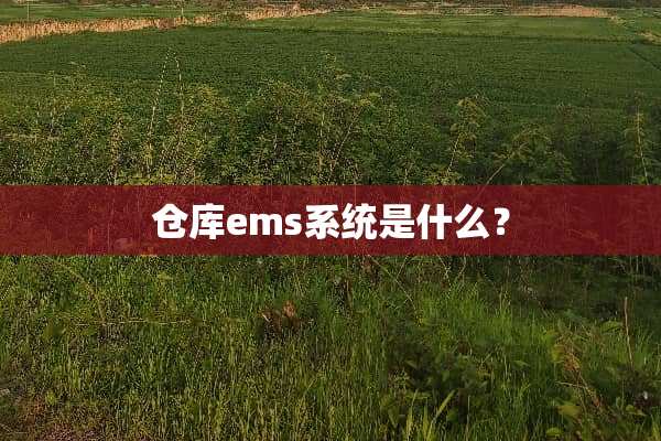 仓库ems系统是什么？