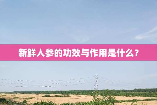 新鲜人参的功效与作用是什么？