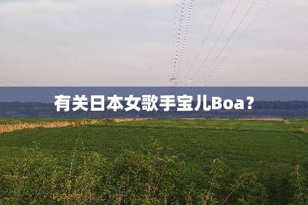 有关日本女歌手宝儿Boa？