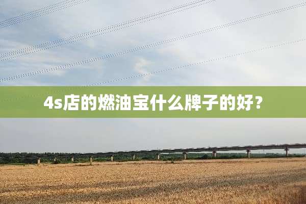 4s店的燃油宝什么牌子的好？