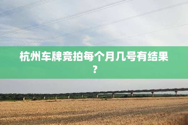 杭州车牌竞拍每个月几号有结果？