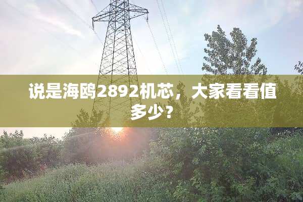 说是海鸥2892机芯，大家看看值多少？