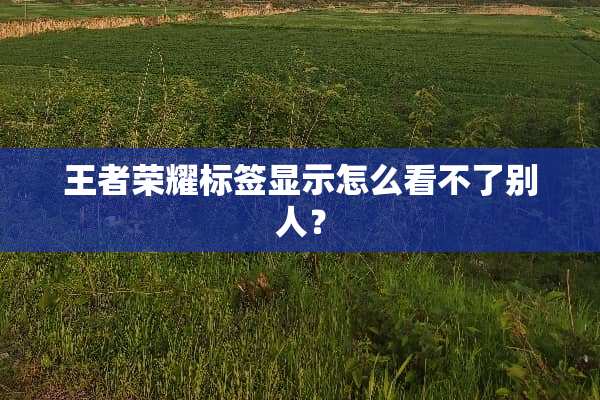 王者荣耀标签显示怎么看不了别人？