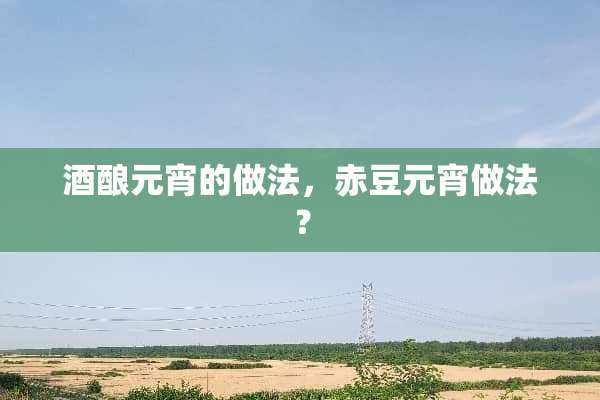 酒酿元宵的做法，赤豆元宵做法？
