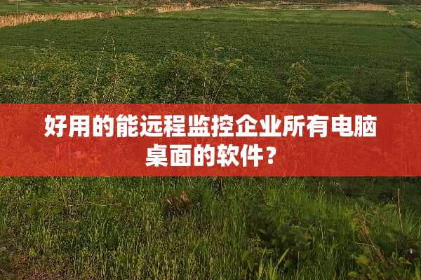 好用的能远程监控企业所有电脑桌面的软件？