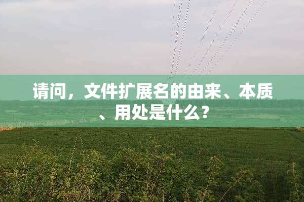 请问，文件扩展名的由来、本质、用处是什么？