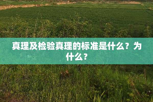 真理及检验真理的标准是什么？为什么？