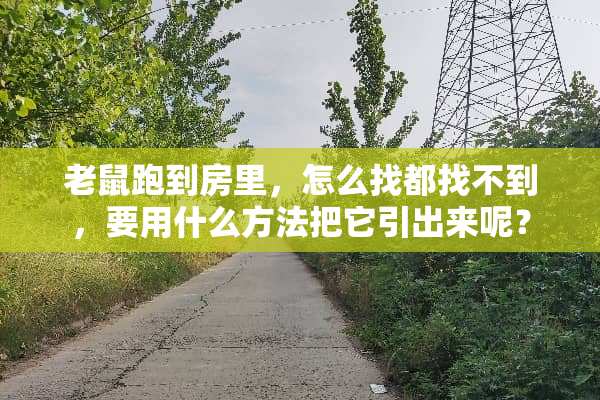老鼠跑到房里，怎么找都找不到，要用什么方法把它引出来呢？