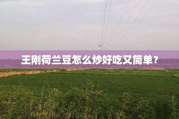 **荷兰豆怎么炒好吃又简单？
