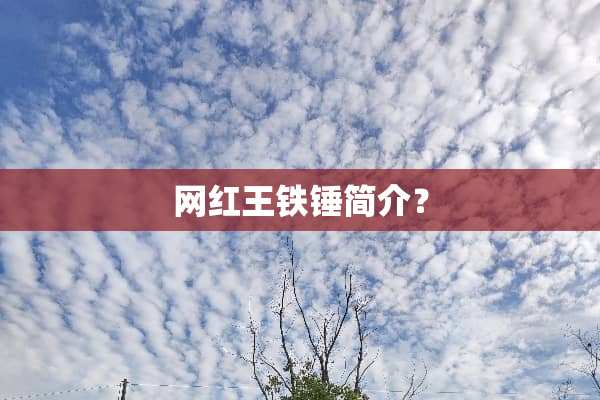 网红王铁锤简介？