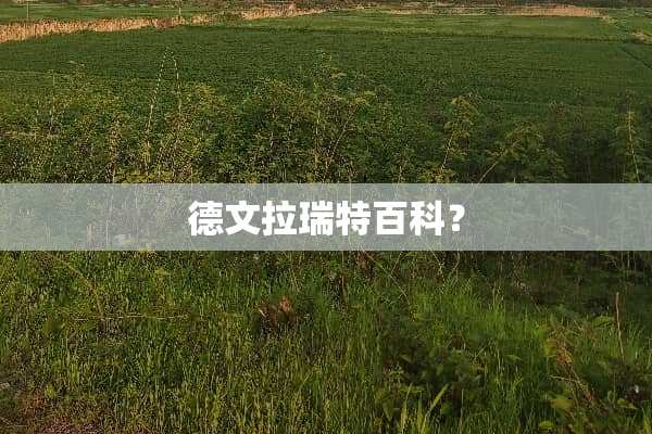 德文拉瑞特百科？