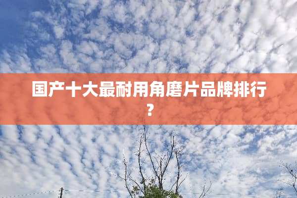 国产十大最耐用角磨片品牌排行？
