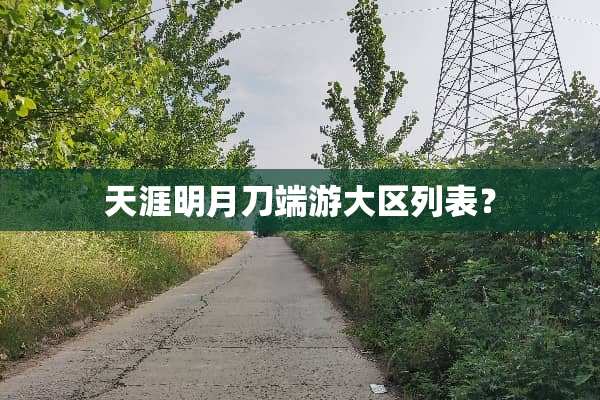 天涯明月刀端游大区列表？